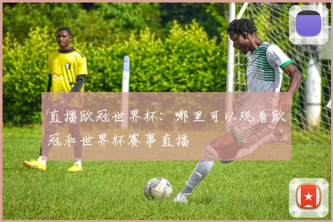 直播欧冠世界杯：哪里可以观看欧冠和世界杯赛事直播