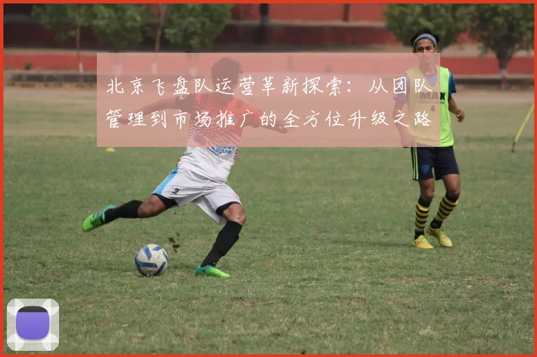 北京飞盘队运营革新探索：从团队管理到市场推广的全方位升级之路