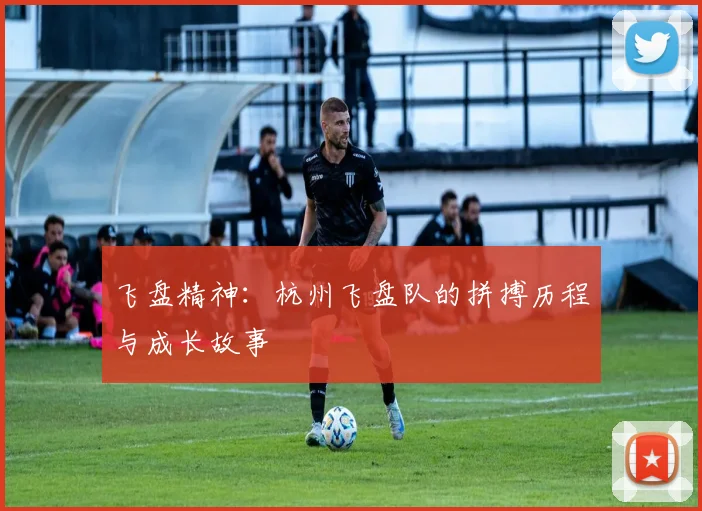 飞盘精神：杭州飞盘队的拼搏历程与成长故事